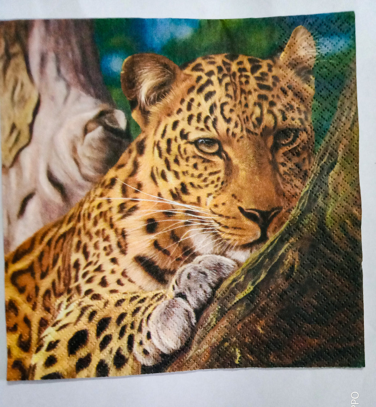 Decoupage Tissue Paper with Leopard - 1 Pc.