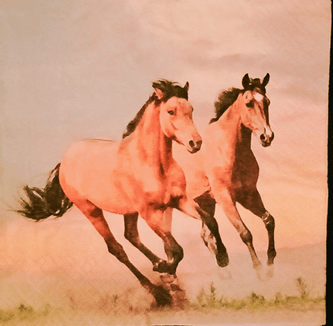 Decoupage Napkin/Tissue -  Pair of Horses - 1 Pc