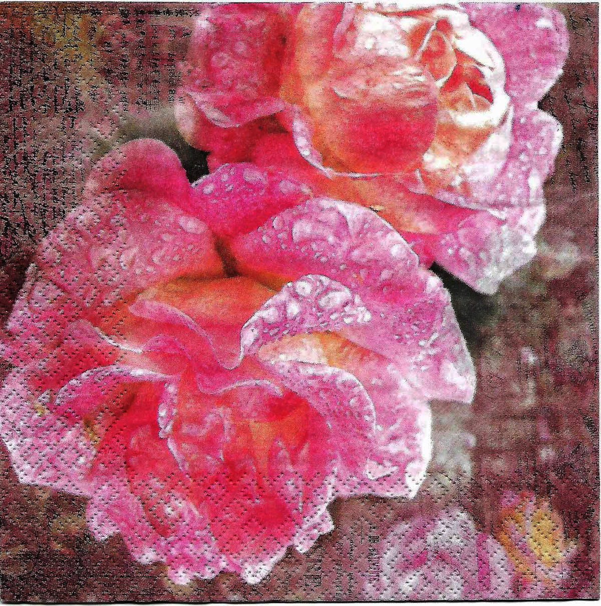Decoupage Tissue/Napkin - Large roses -  Pc.